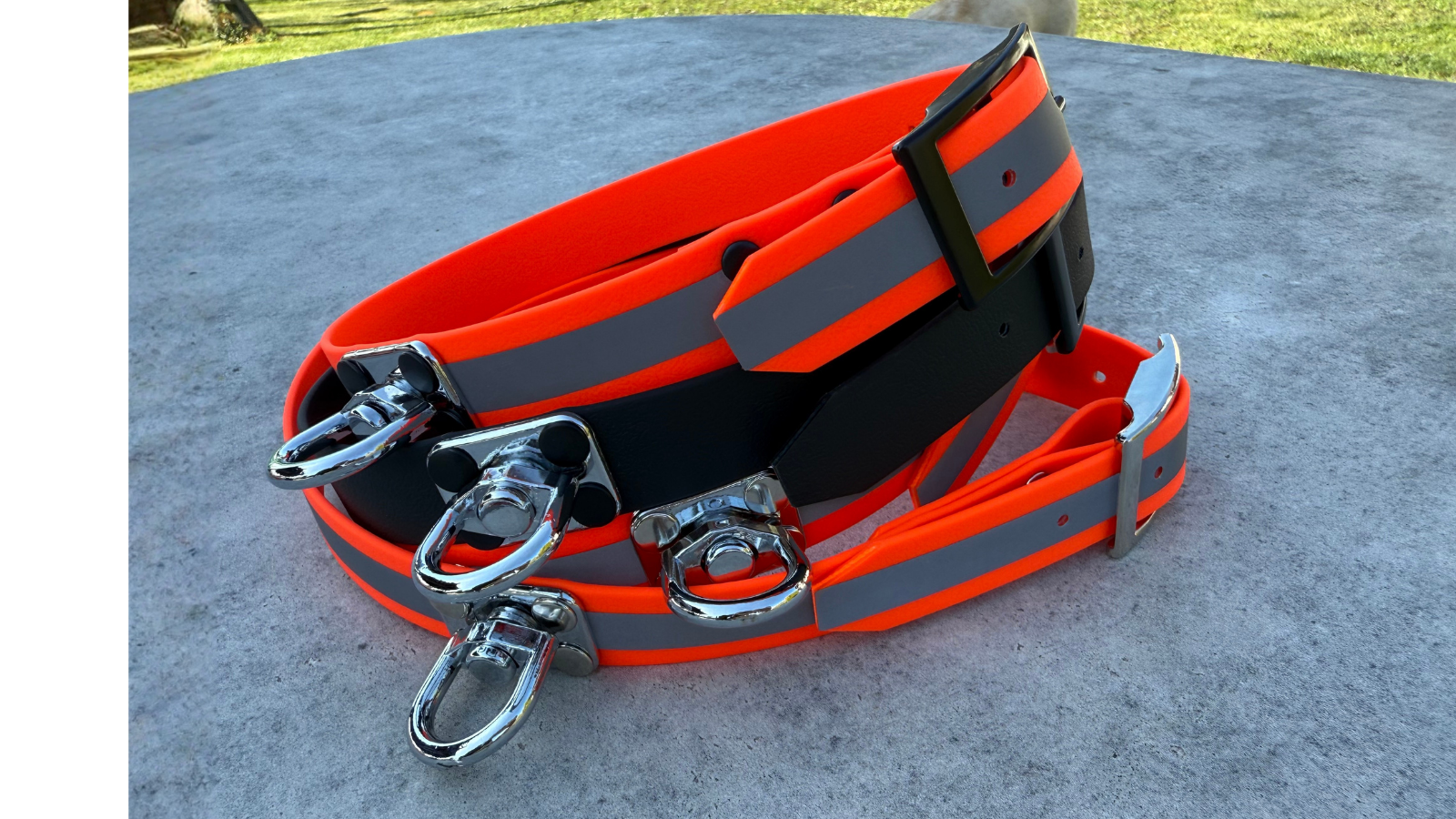 barvářský obojek pro psa